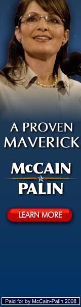 Palin branding ad