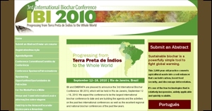 IBI2010.org screenshot
