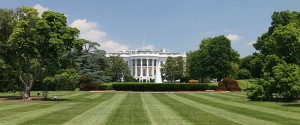 Path to the White House leads through Facebook