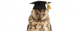 A wise owl joins Epolitics.com webinars